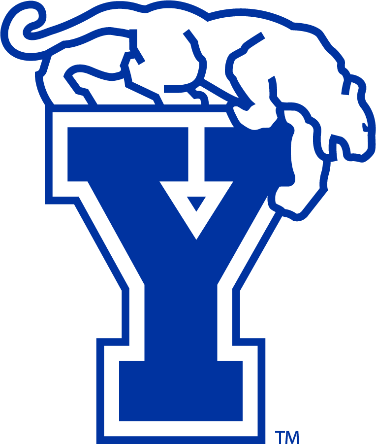 Brigham Young Cougars 1982-1999 Secondary Logo diy DTF decal sticker